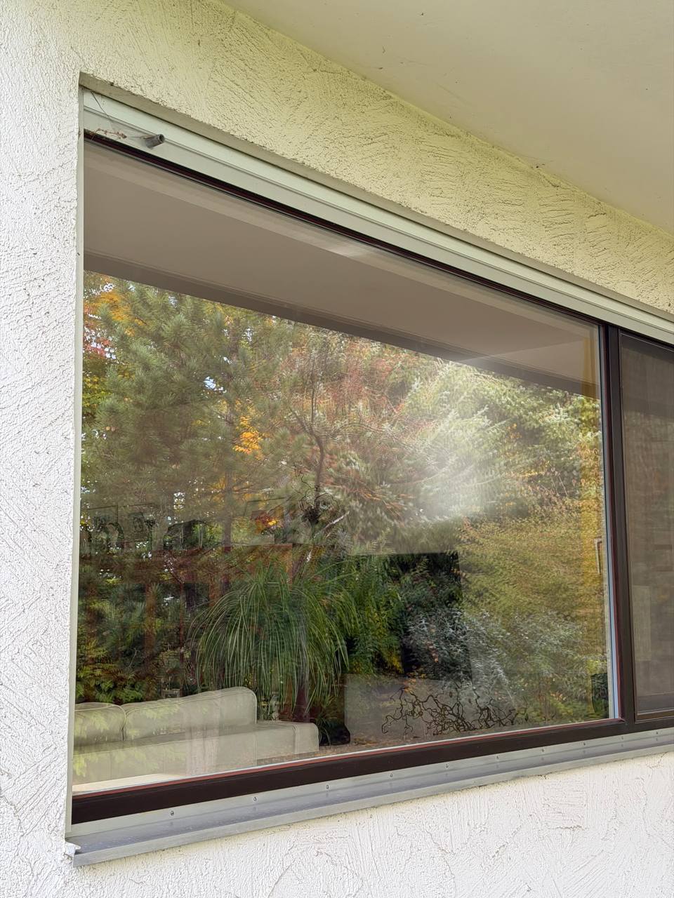 Saubere Fenster ALBfix